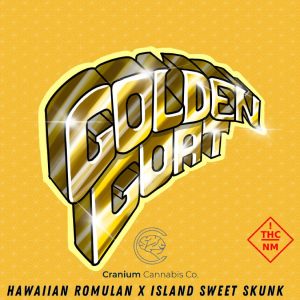 Blue Sky Image Strip3