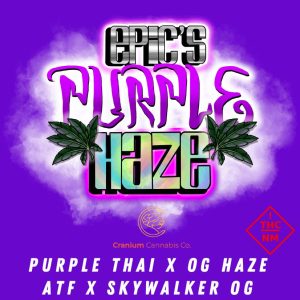 Blue Sky Image Strip4