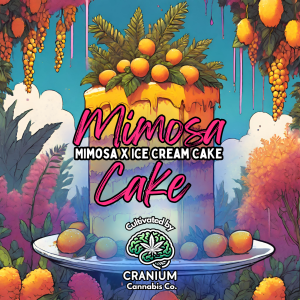 MIMOSA CAKE PNG
