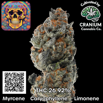 Carousal Roll Series-1