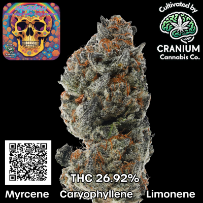 Carousal Roll Series-1