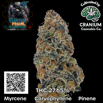 Carousal Roll Series-2