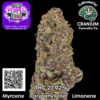 Carousal Roll Series-3