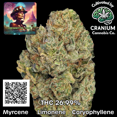 Carousal Roll Series-5