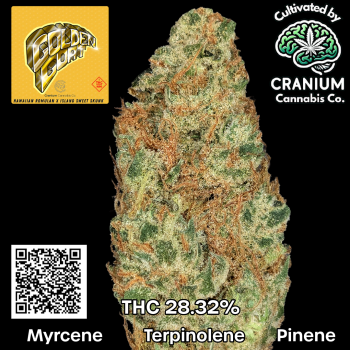 Carousal Roll Series-6