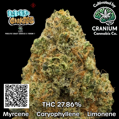 Carousal Roll Series-7 (1)