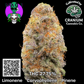 Carousal Roll Series-8