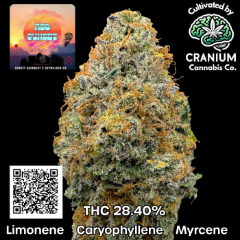 Carousal Roll Series-9